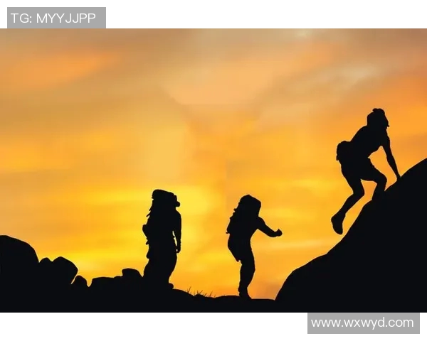 深度对话周芳谈排球人生的挑战与成长之路