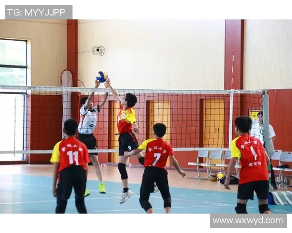 重庆排球队的精神探索与排球文化传承之旅