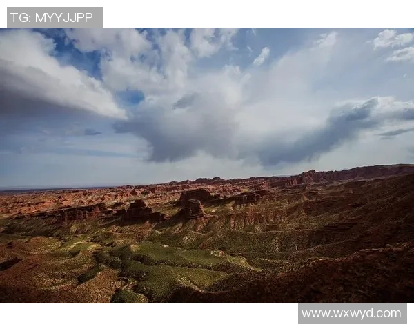 北京篮球队的奋斗历程与荣耀时刻全景纪实