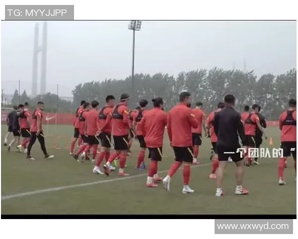 南京足球队在杯赛中的技术表现分析与点评探讨